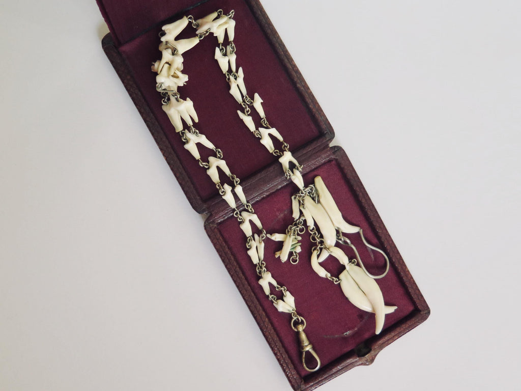 Antique Fox Teeth Necklace: Victorian Watch Chain, Curio Jewelry