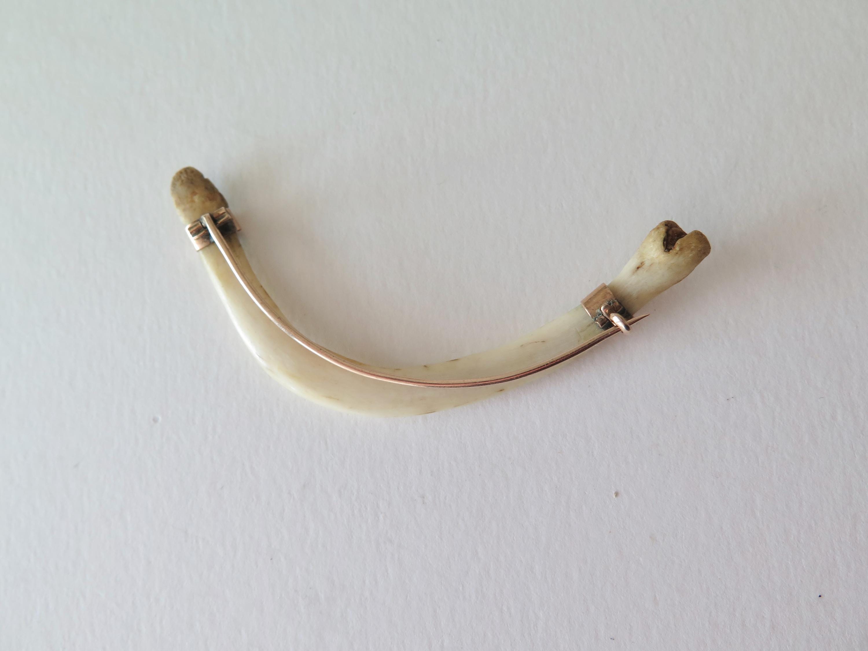 Antique Victorian Raj Baculum Brooch, 9k Rose Gold